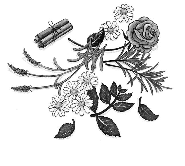 Line illustration of flowers and herbs, from "make your own magic"