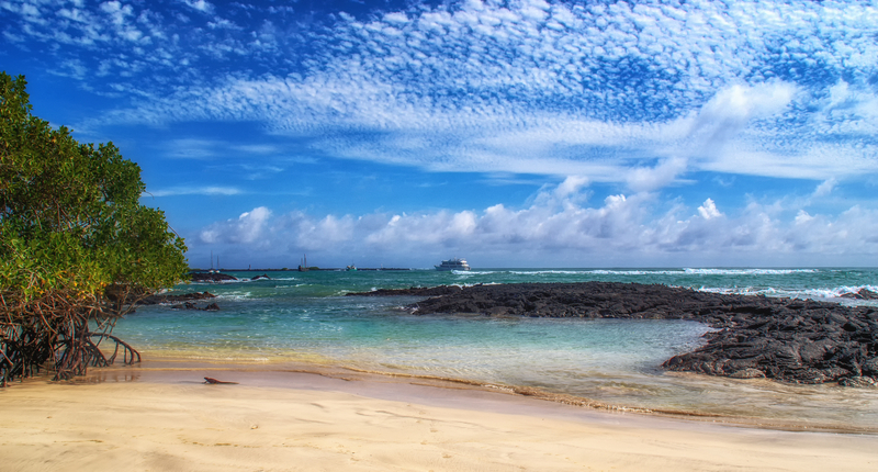 Landscape of beach and turquoise water under bright blue cloudy sky.