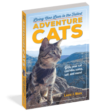 Adventure Cats