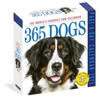 365 Dogs Page-A-Day Calendar 2025