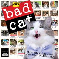 Bad Cat Wall Calendar 2025