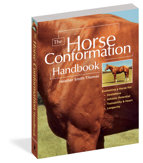 The Horse Conformation Handbook by Heather Smith Thomas Hachette Book