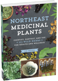 Northeast Medicinal Plants