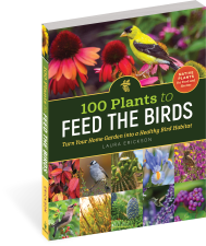 100 Plants to Feed the Birds