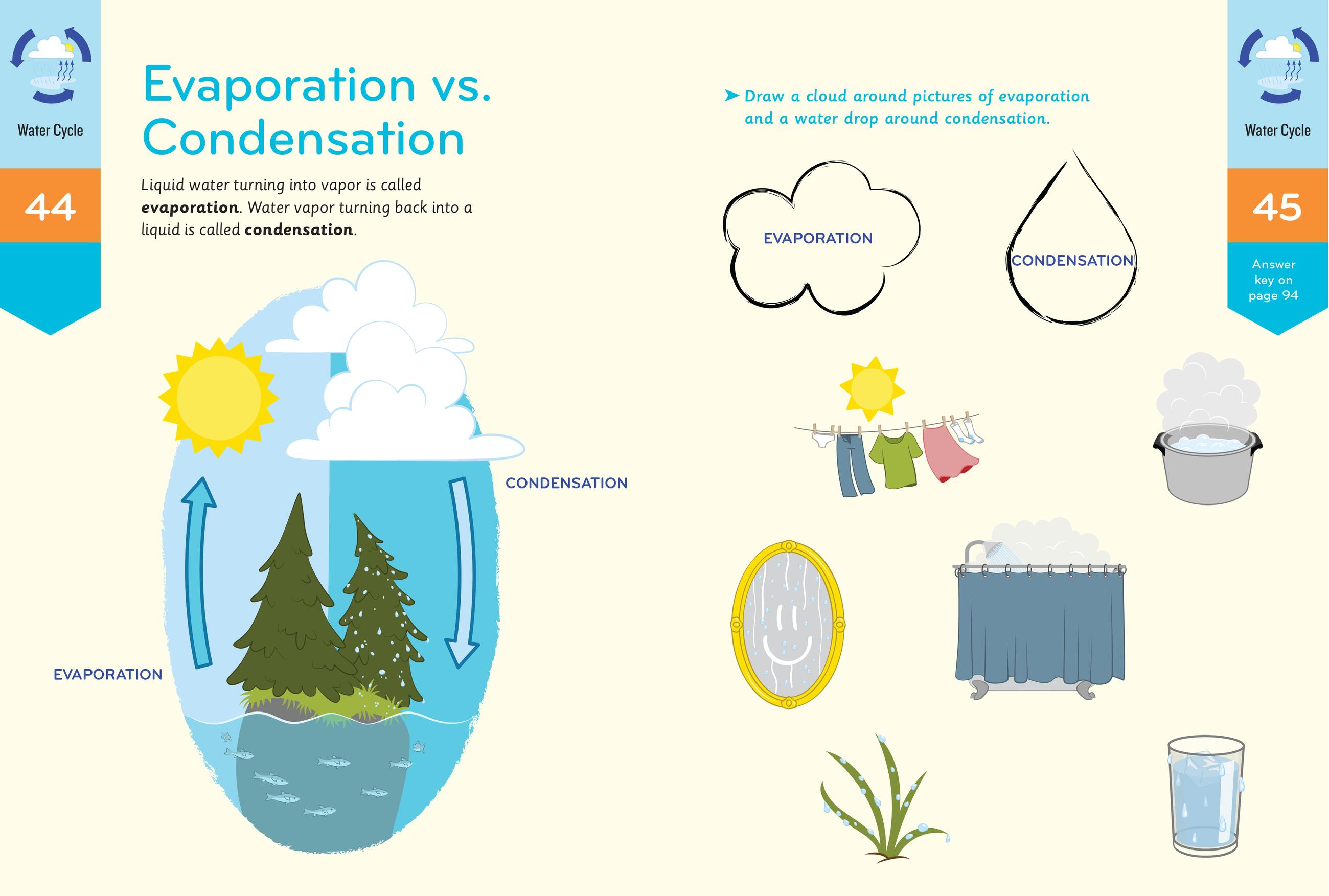 Nature Smarts Workbook: All about Water (Ages 4-6) by T…