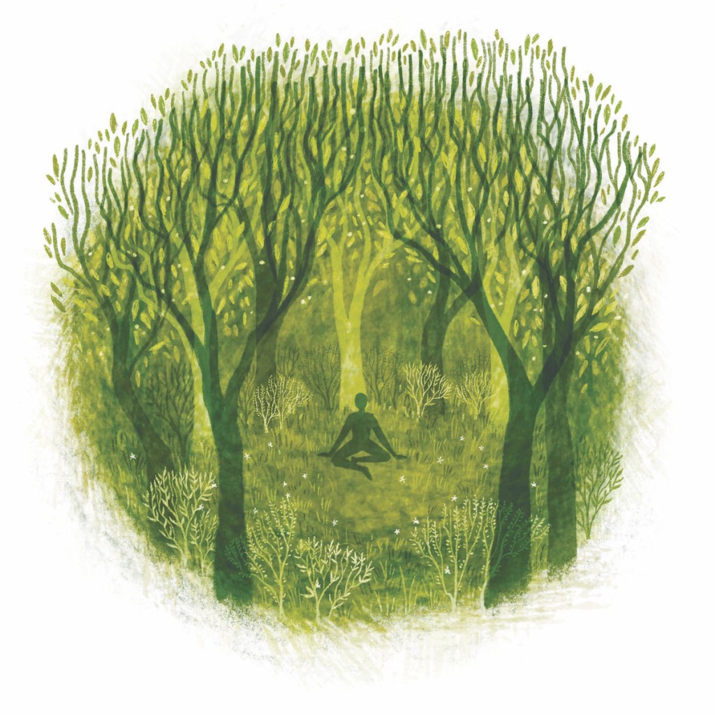 Illustration of a person sitting in a sacred grove, from "Forest Magic: Rituals and Spells for Green Witchcraft" by Nikki Van De Car