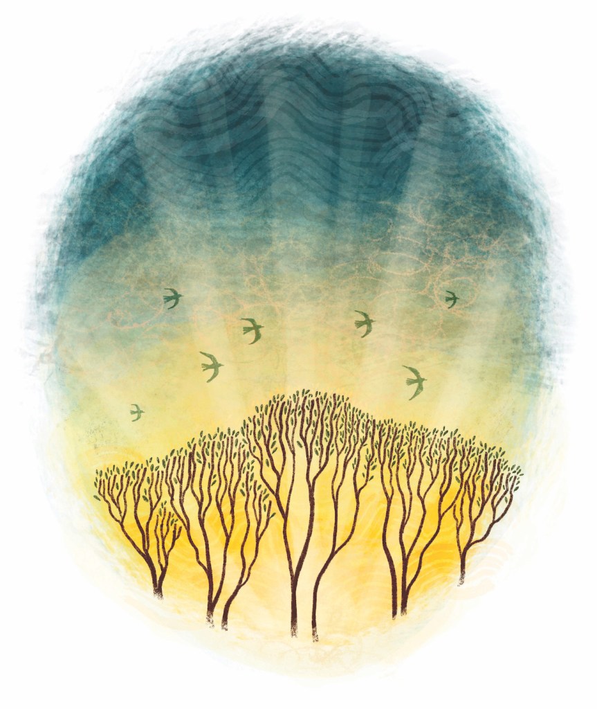 Illustration of dawn breaking over forest treetops, from "Forest Magic: Rituals and Spells for Green Witchcraft" by Nikki Van De Car