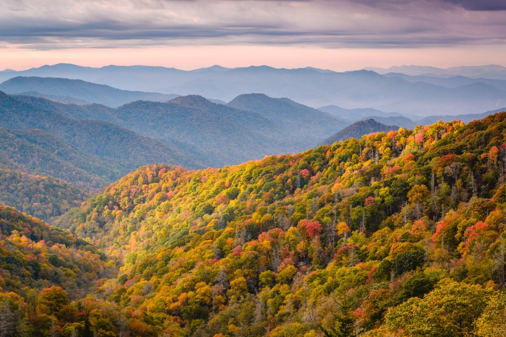 Fall leaf colors at Great Smoky Mountains National Park