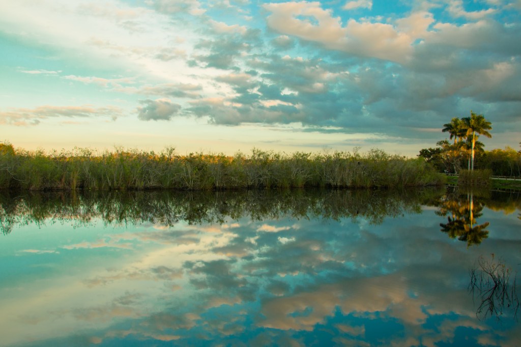 Clouds reflected in the marshes at Everglades National Park