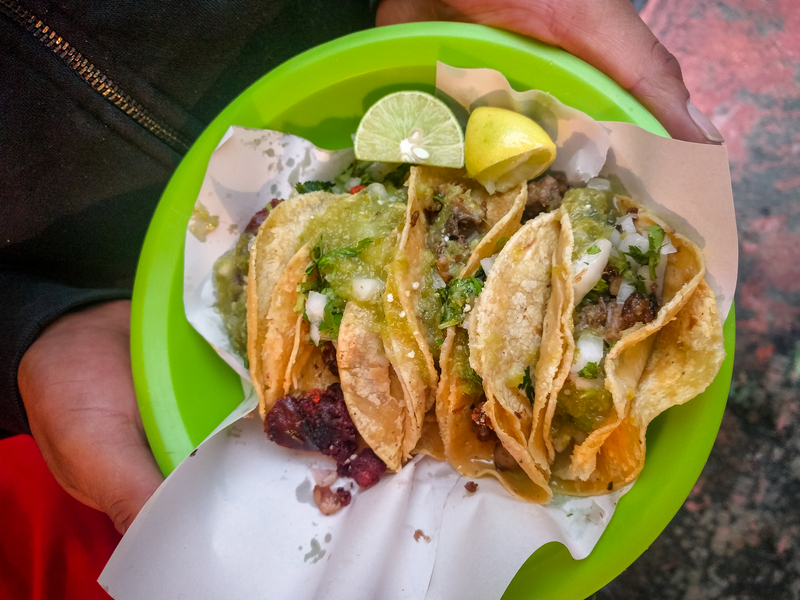 Hand holding a green plate with 3 tacos and toppings on it.