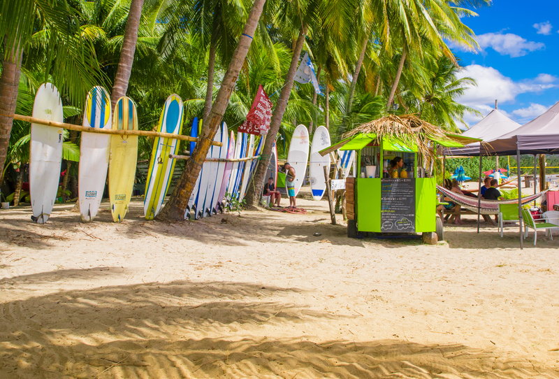 Image of beach with snack hut and surfboards propped along palm trees.
