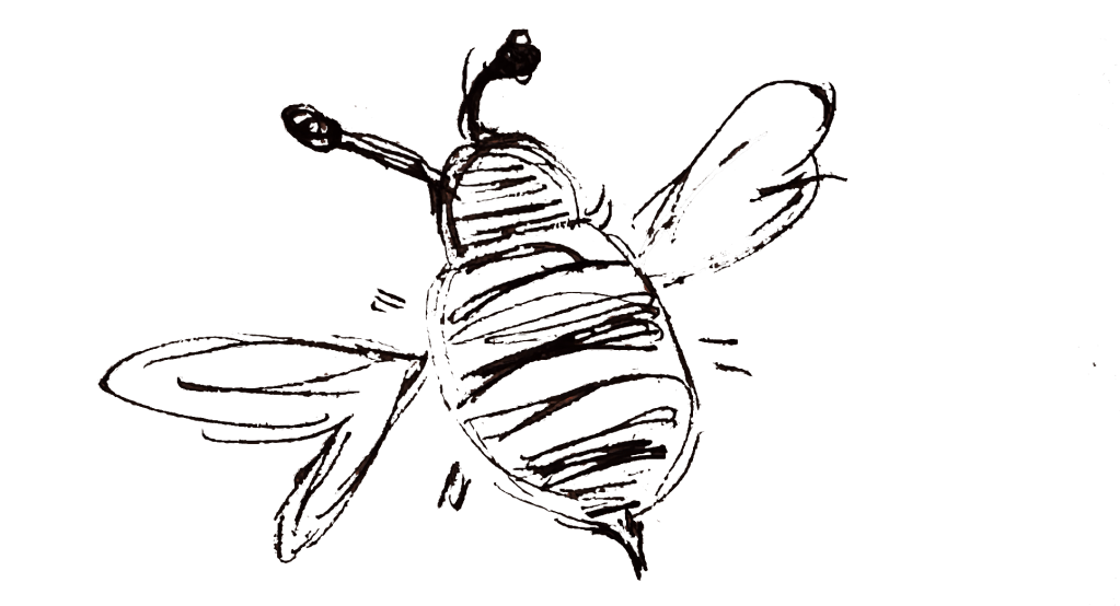 Illustration of bee