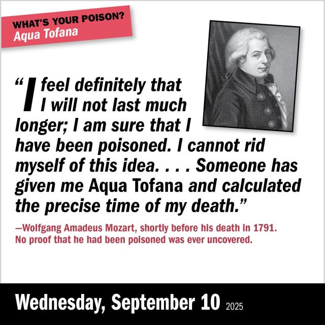 A Year Of True Crime Calendar 2025 