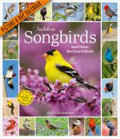 Audubon Songbirds and Other Backyard Birds Picture-A-Day® Wall Calendar 2025