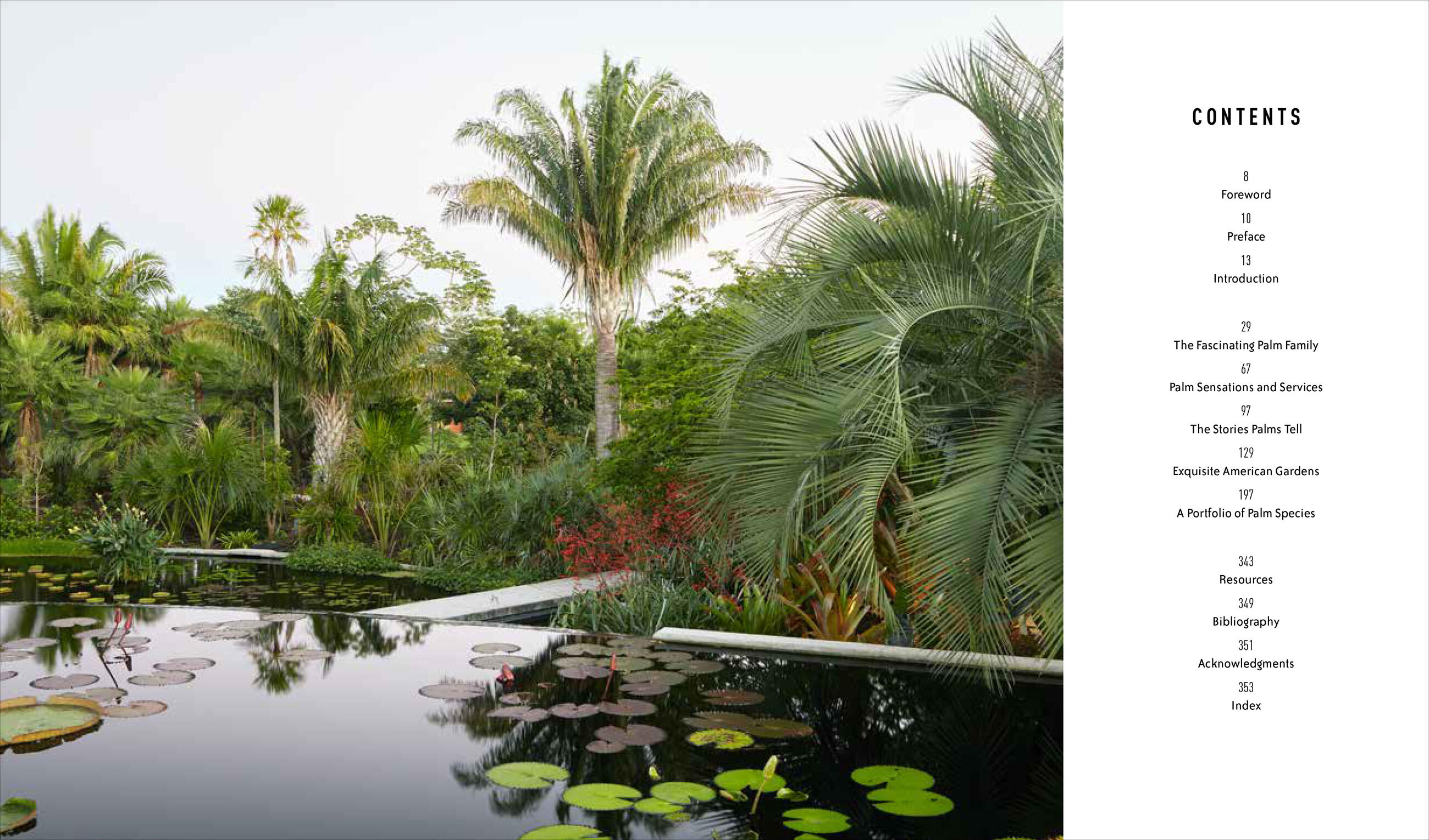 Designing with Palms by Jason Dewees & | Hachette Book Group