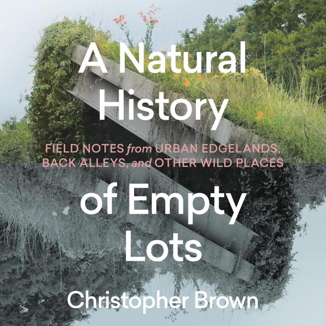 A Natural History of Empty Lots