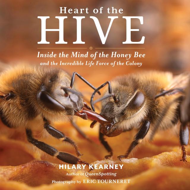 Heart of the Hive
