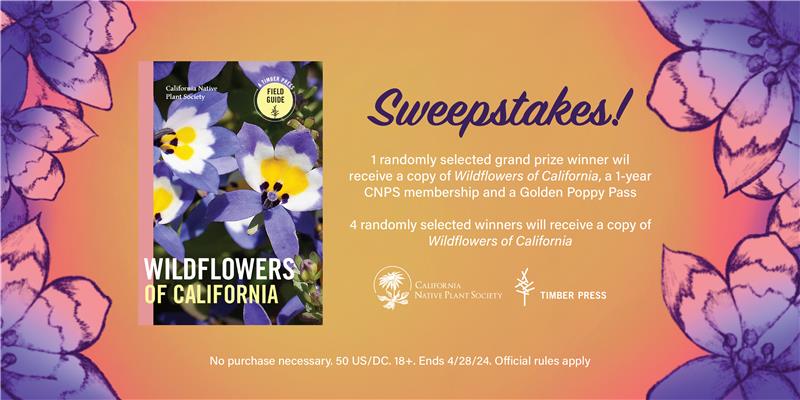 Wildflowers of California Sweepstakes