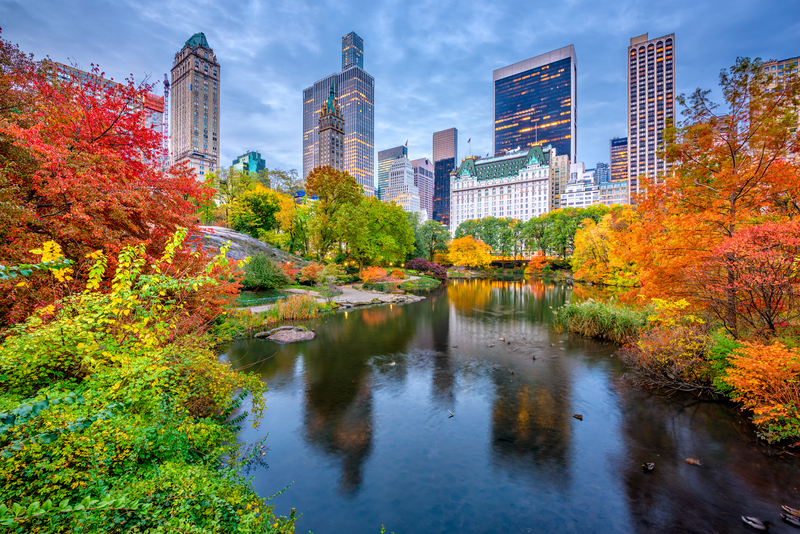 Autumnal trees and tall buildings ring a large pond.