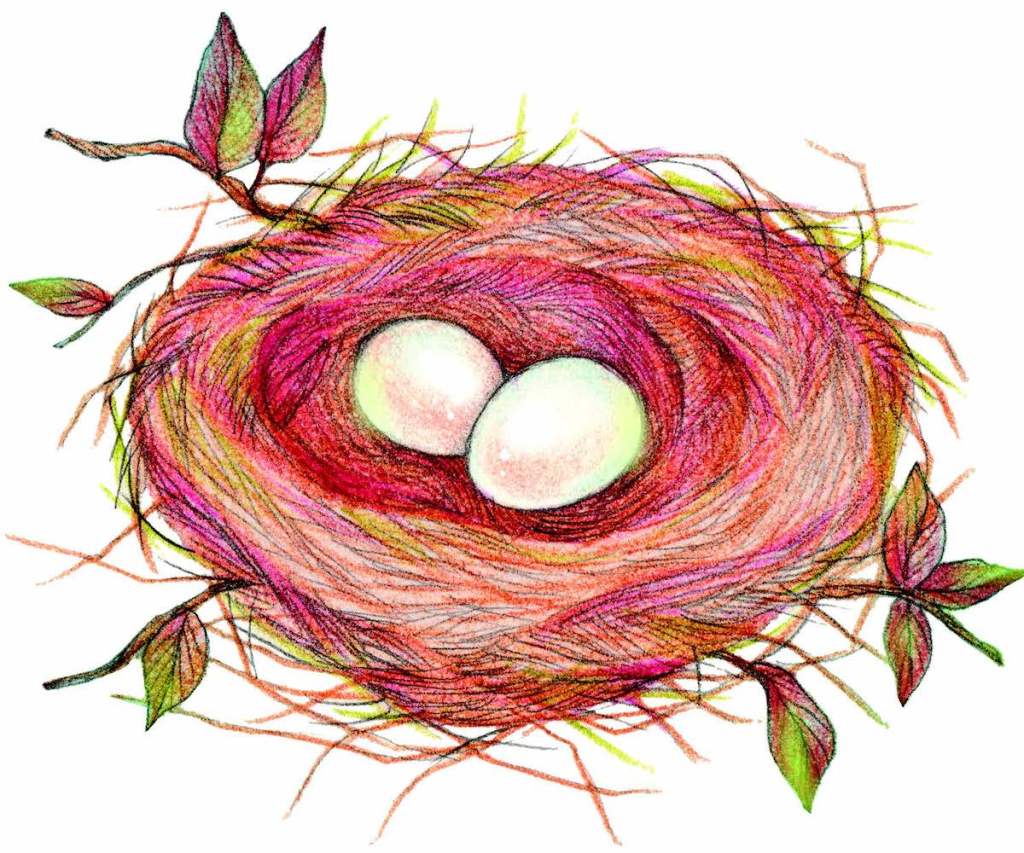 Illustration of a nest from “Earth + Body: 52 Weeks of Well-Being Inspired by Nature”