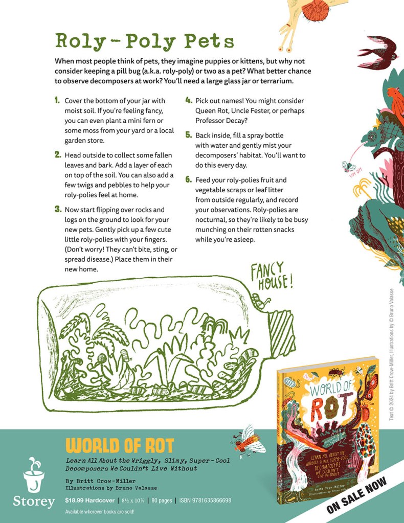 Roly-Poly Pets Activity