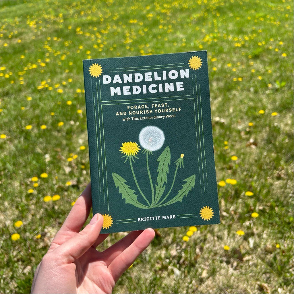 Dandelion Medicine book cover.