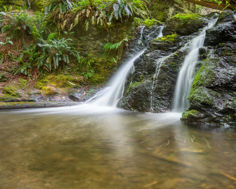 Image of small delicate waterfalls running into a pool of water in a mossy, fern-filled forest.