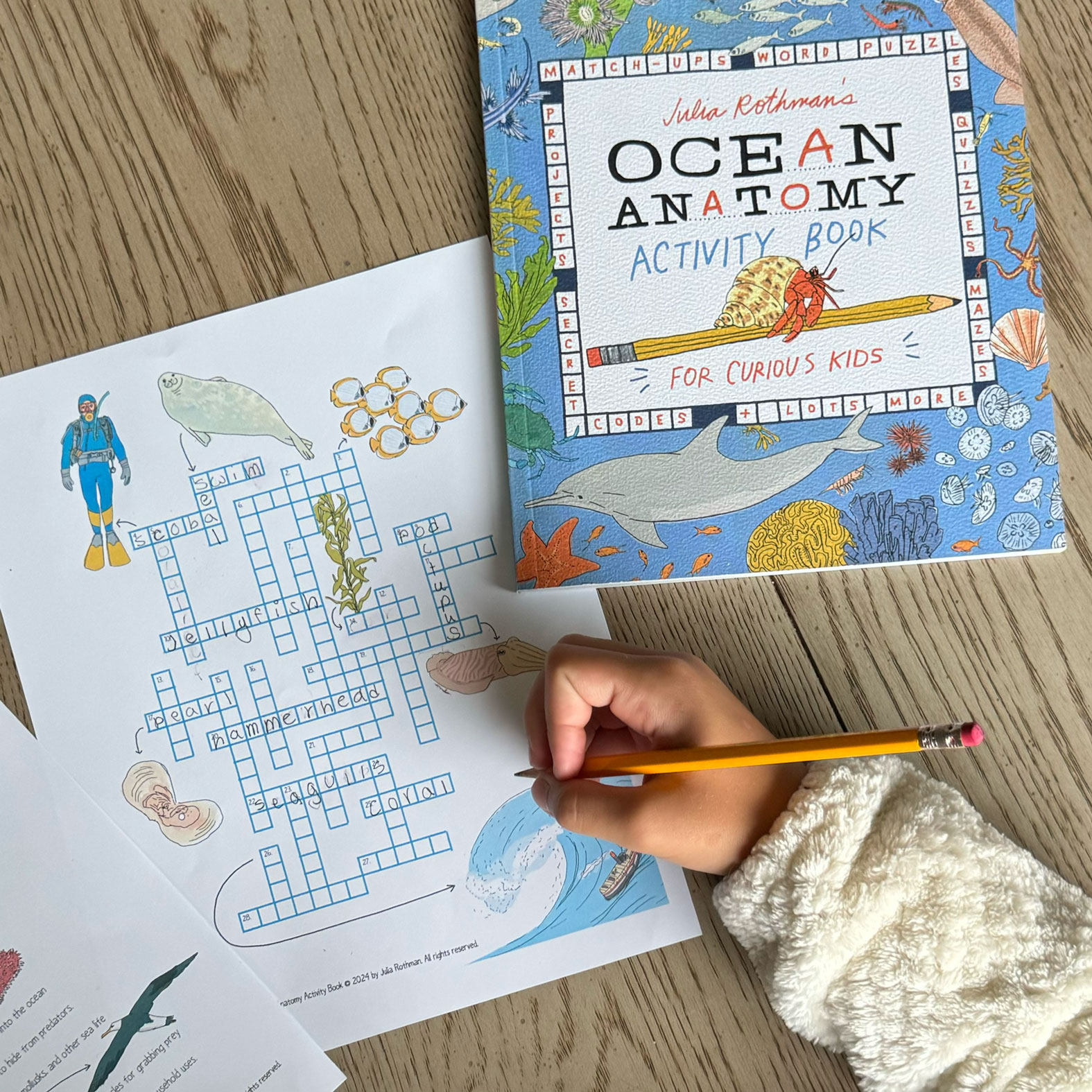 Photo of a Julia Rothman Ocean Anatomy Activity Book crossword puzzle.