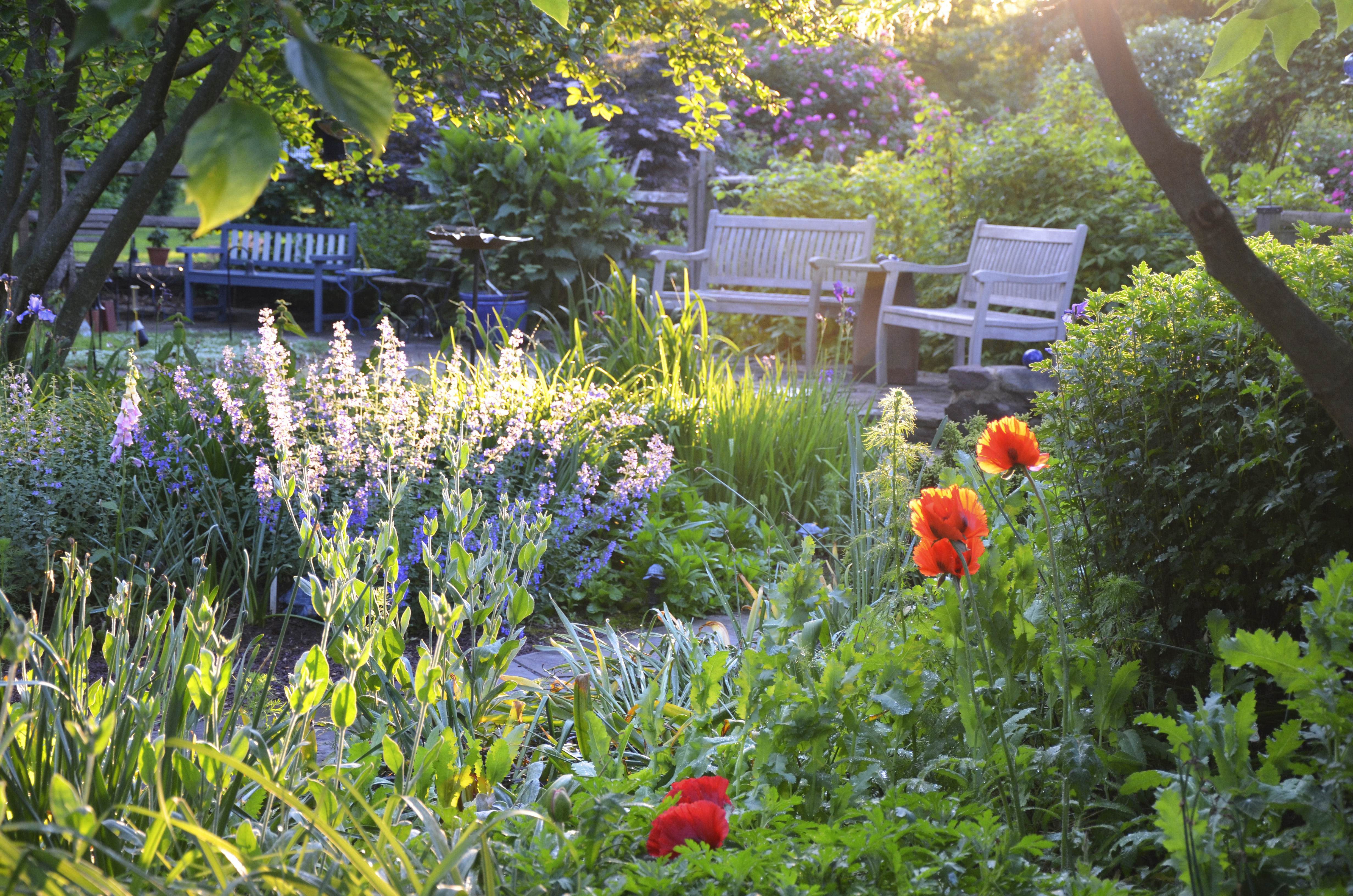 Flower Gardening with Jenny Rose Carey | Hachette Book Group