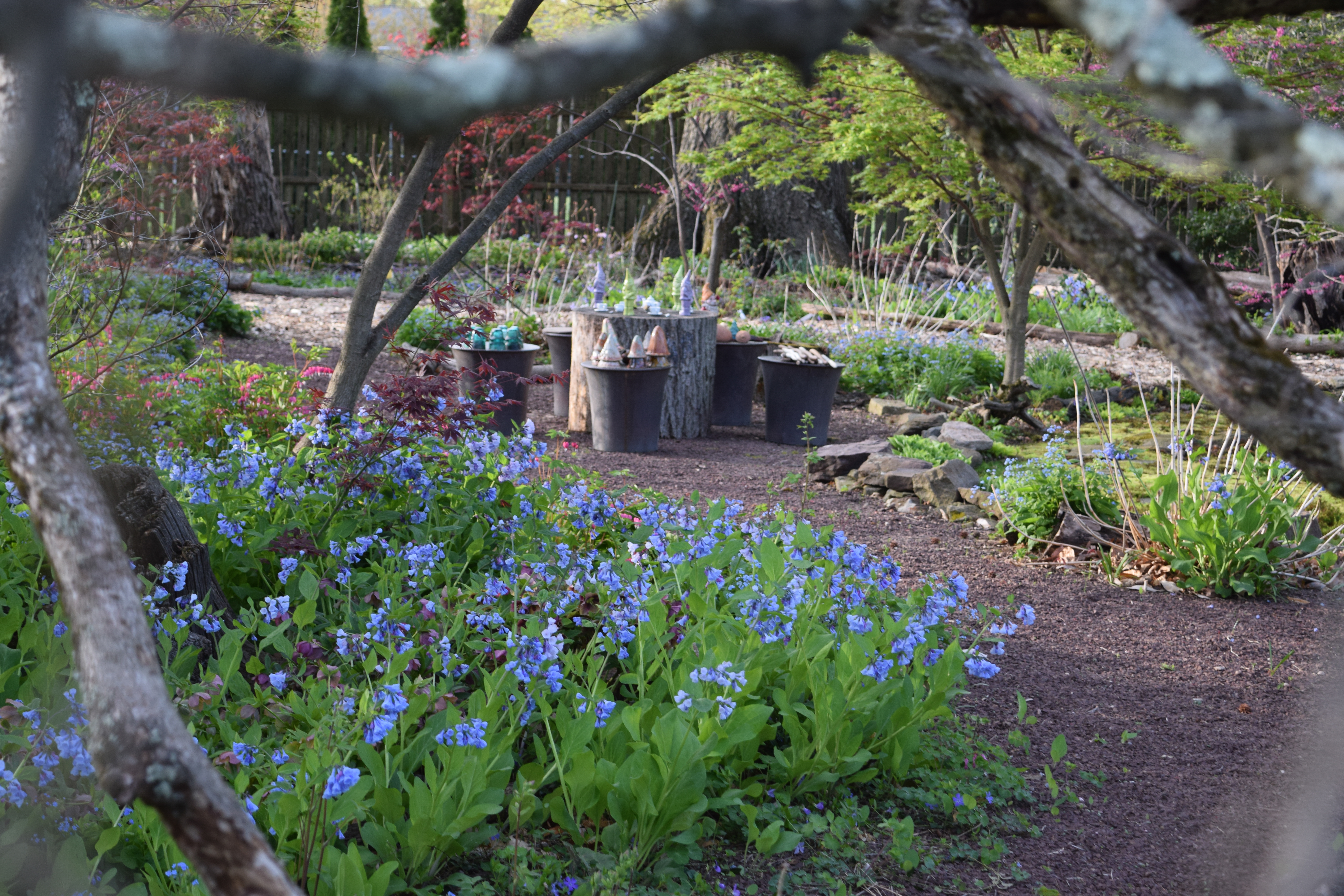 Shade Gardening with Jenny Rose Carey | Hachette Book Group