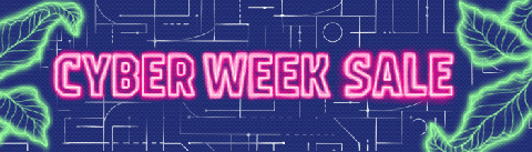 Cyber Week