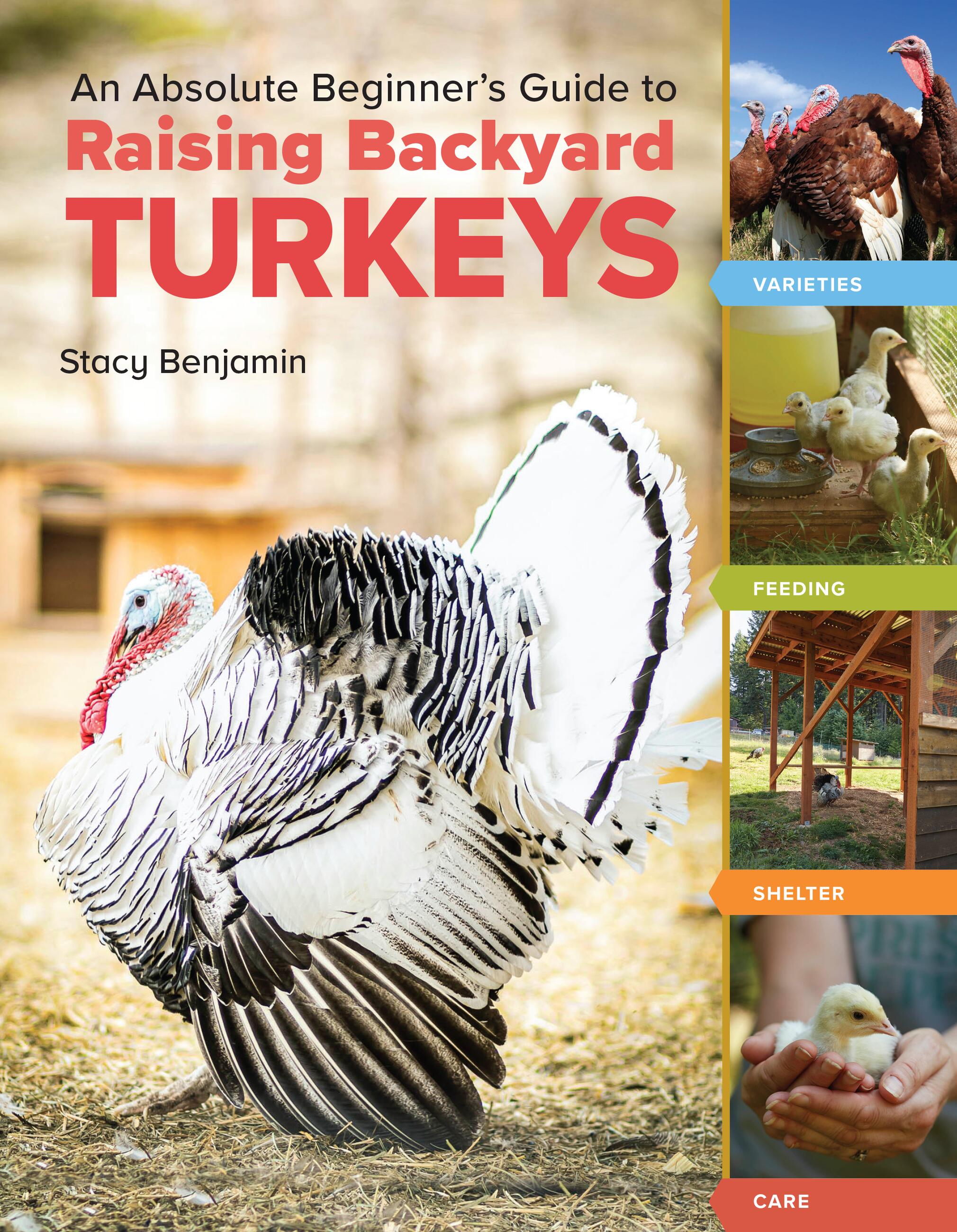New &amp; Popular Nonfiction Books | Hachette Book Group