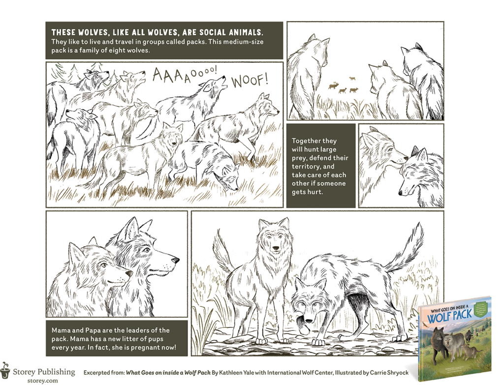 Wolfpack Coloring Page