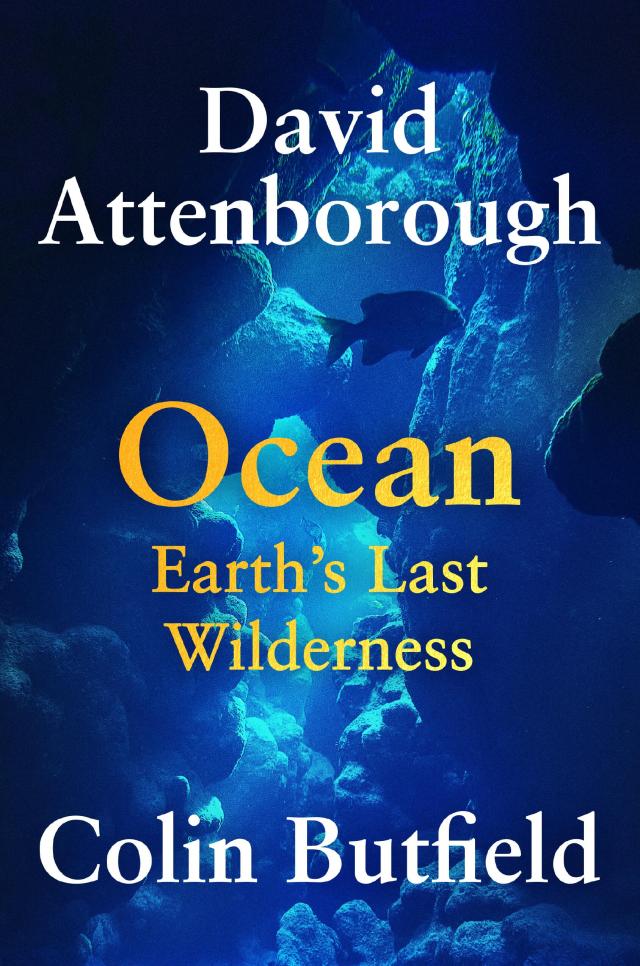 Ocean by Sir David Attenborough Colin Butfield Hachette Book Group