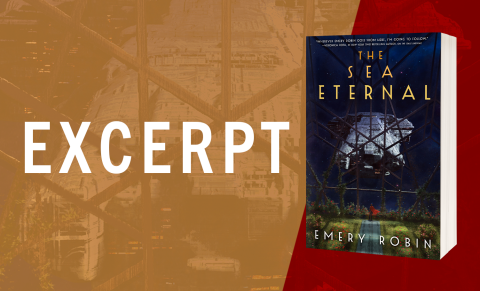Excerpt from The Sea Eternal by Emery Robin