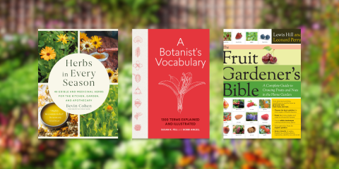 Practical gardening guides for beginners - plants, vegetables, fruits, herbs, and botany