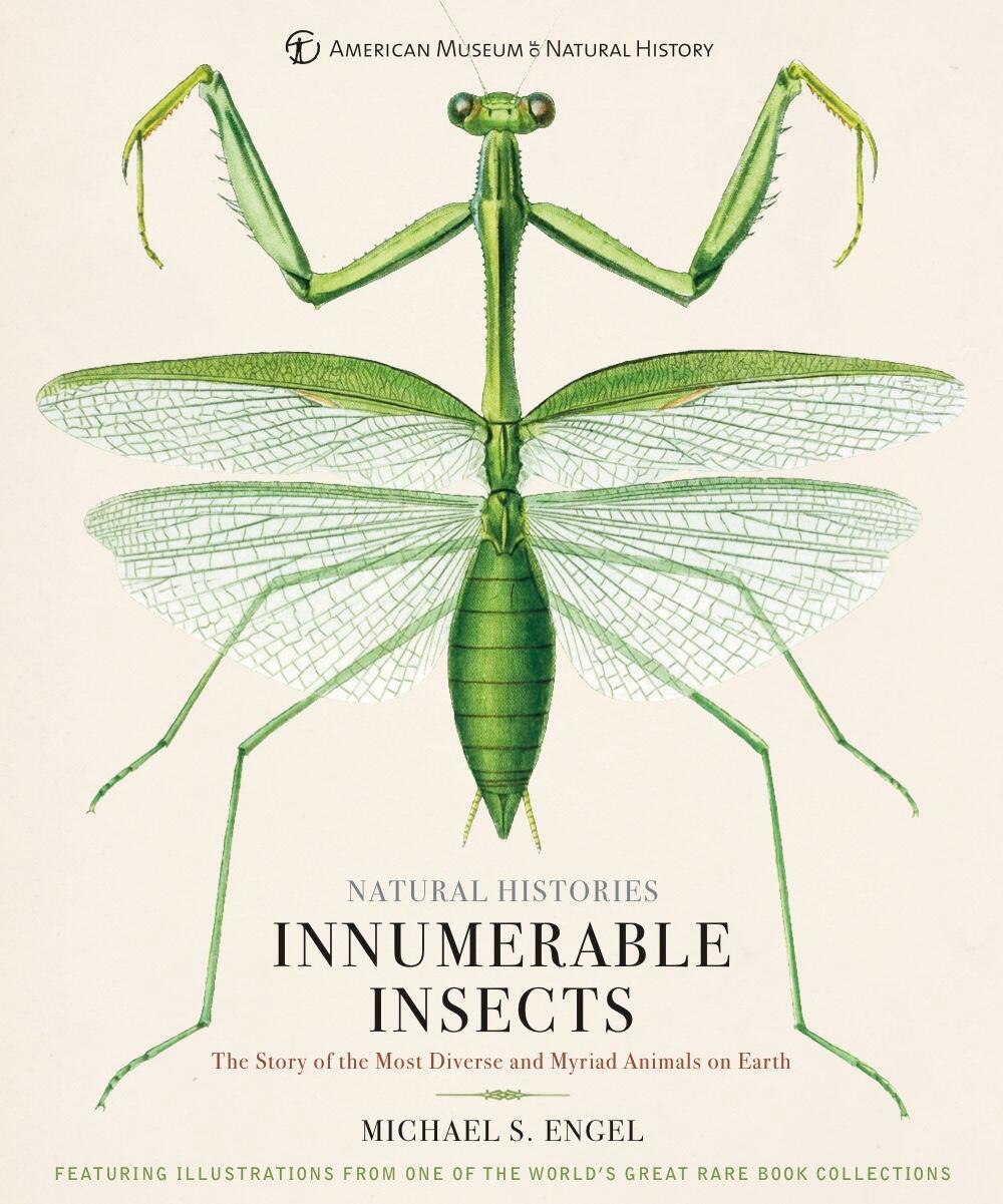Michael Cook Insect Innumerable Insects by Michael S. Engel & Tom Baione | Hachette Book Group