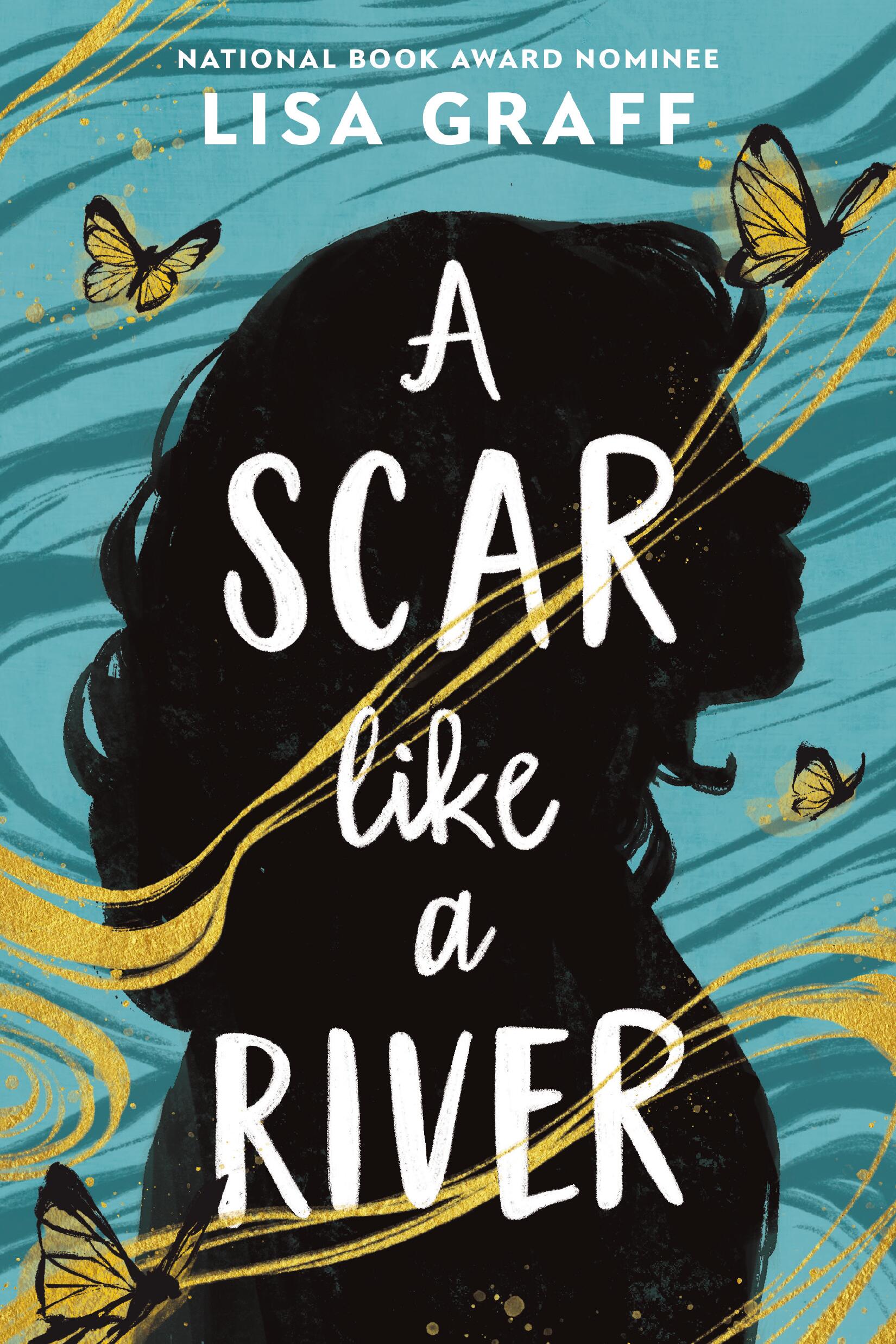 A Scar like a River by Lisa Graff Hachette Book