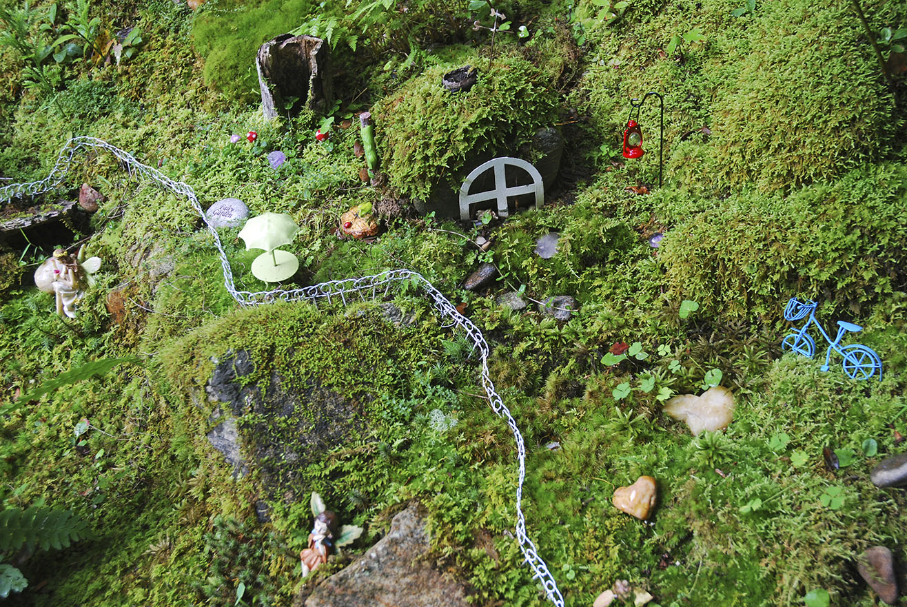 Moss Gardening Must-Knows from The Magical World of Moss Gardening