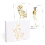 Baby: First Year Milestone Cards
