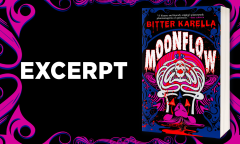 Excerpt from Moonflow by Bitter Karella