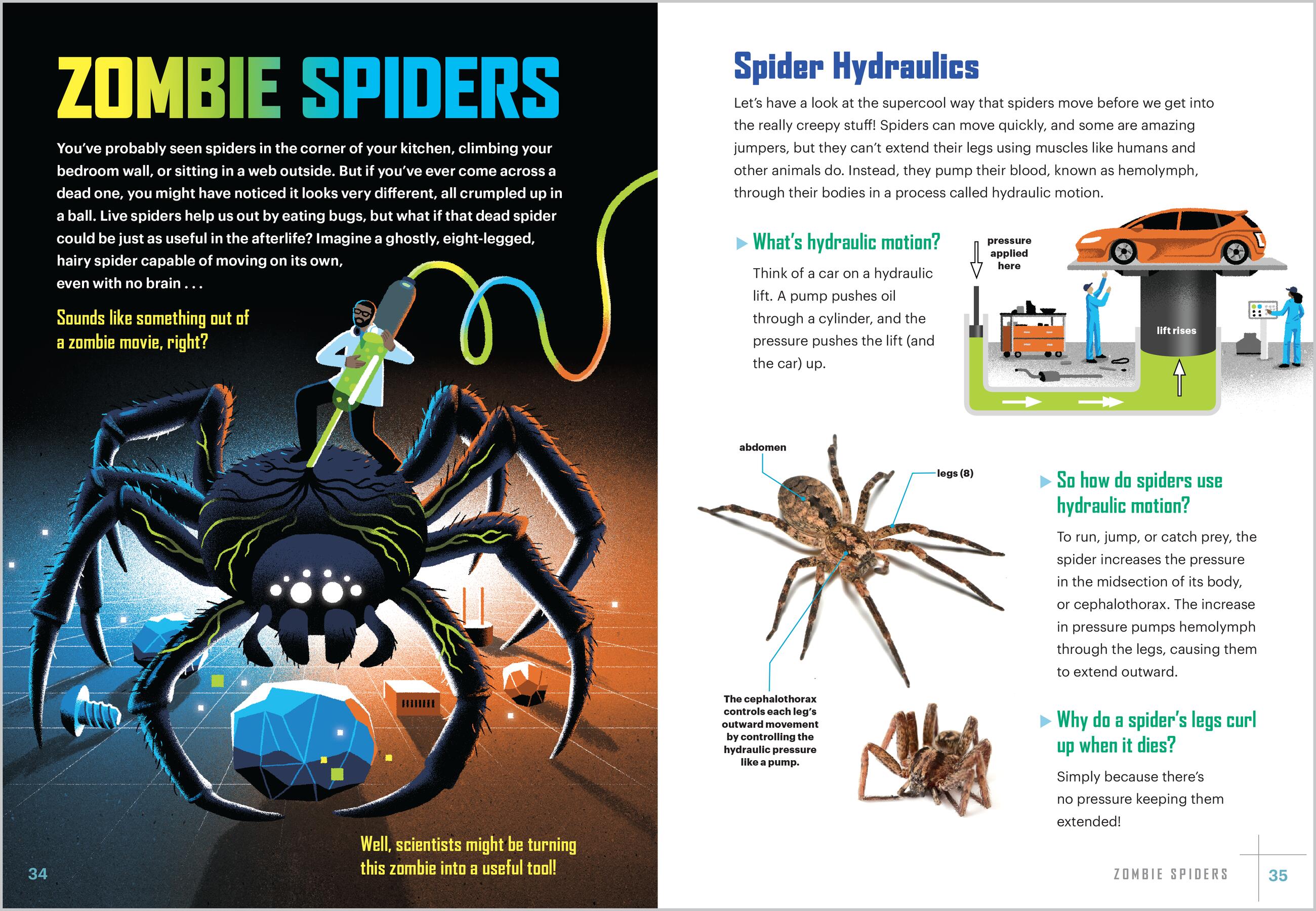 Zombie Spiders and Asteroid Blasters by Maynard Okereke | Hachette