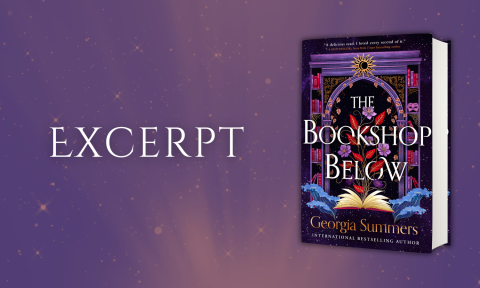 Excerpt: The Bookshop Below