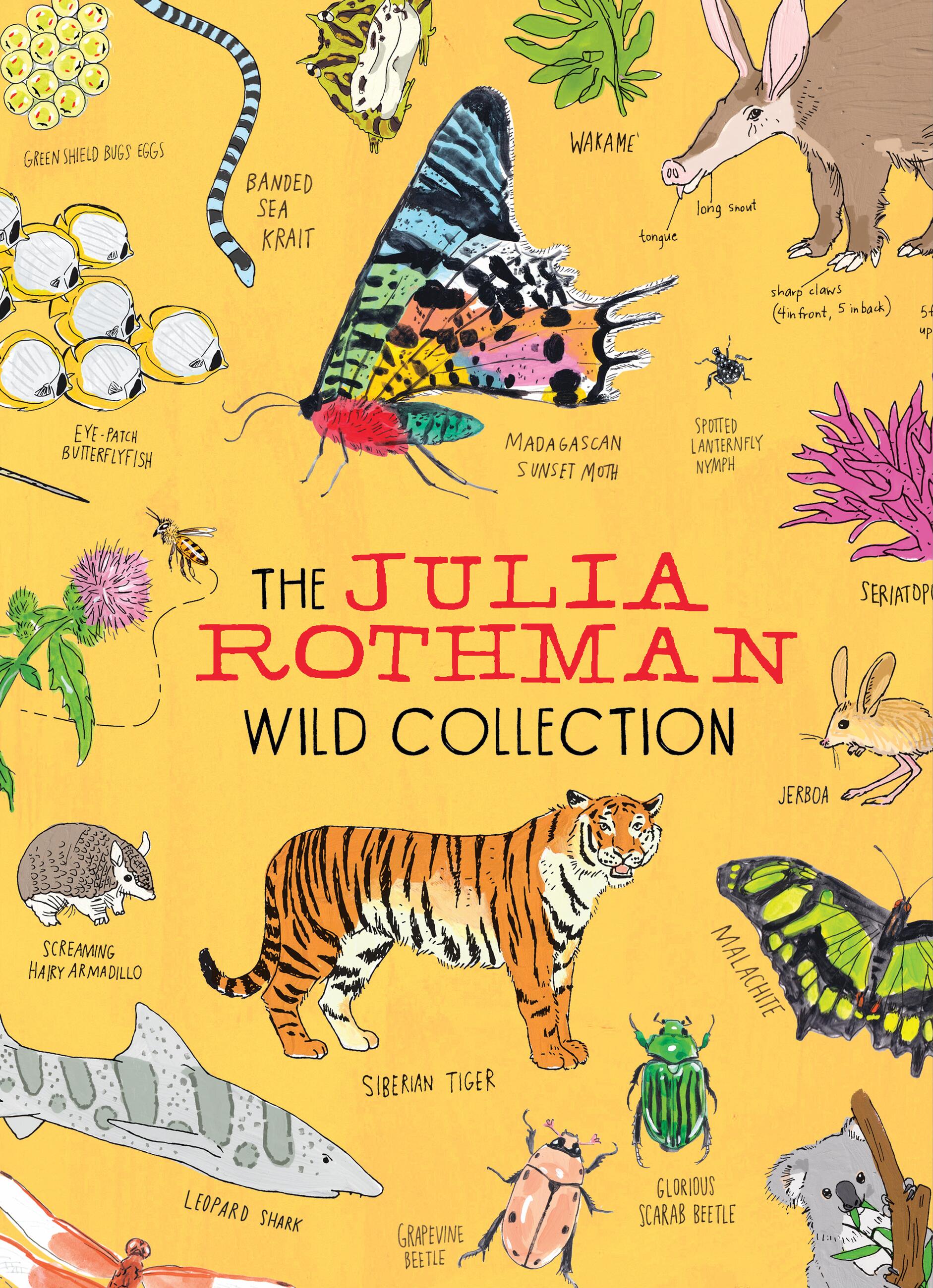 The Julia Rothman Wild Collection by Julia Rothman | Hachette Book Group