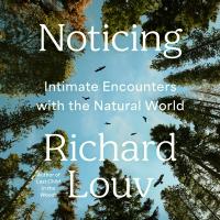 Noticing