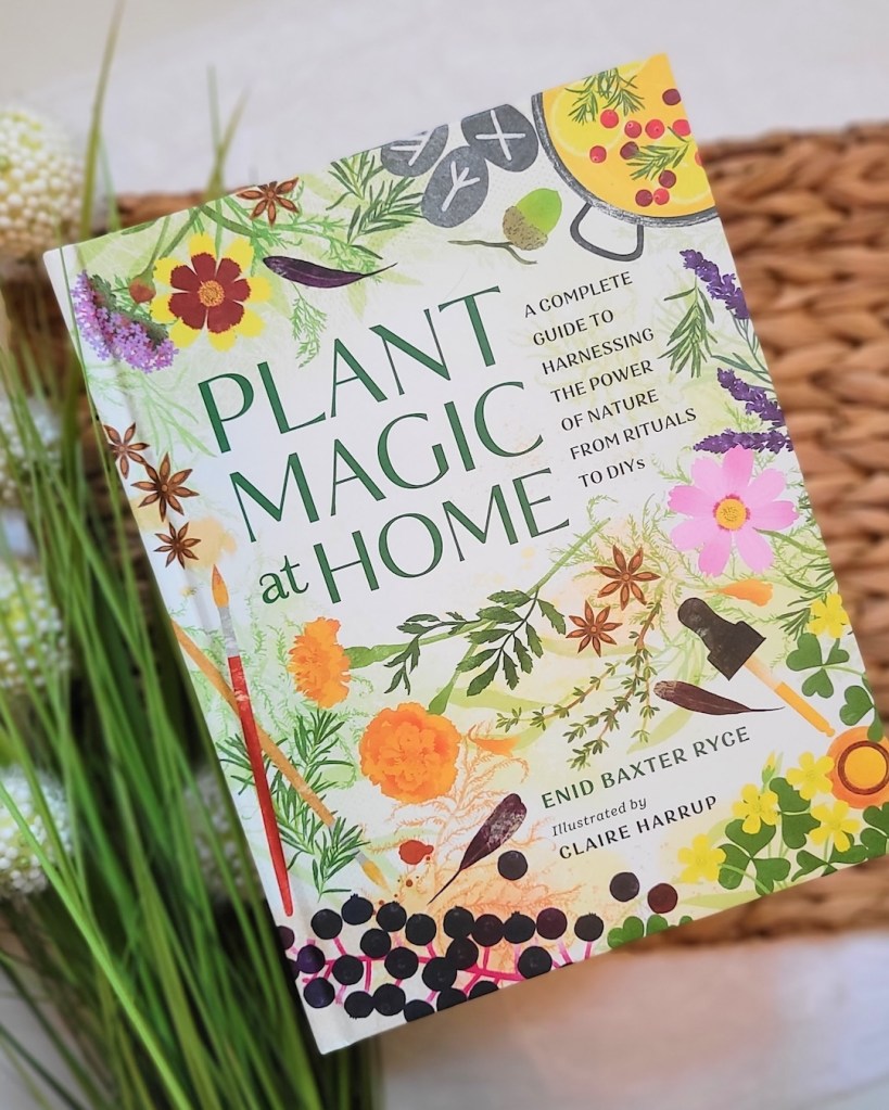 Photo of Plant Magic at Home