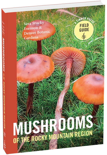 Mushrooms of the Rocky Mountain Region by Vera Stucky Evenson