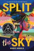 Split the Sky (Coretta Scott King Author Honor Title)