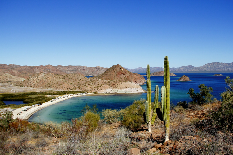 Two saguaro cacti on a hill overlooking a turquoise bay of water and low brown hills