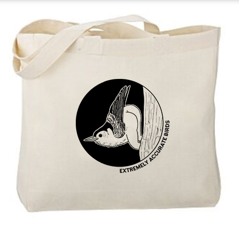 Pre-Order Offer for Tommy Siegel's Extremely Accurate Birds